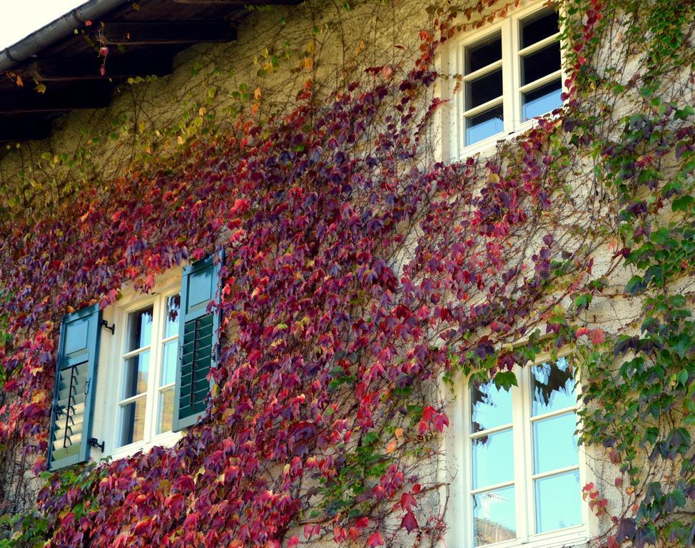 Apartment Im Garten 9 Gargazzone Exterior foto